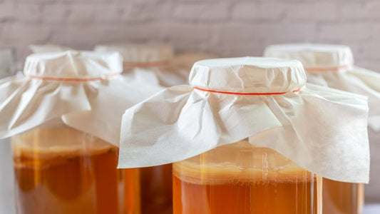 How to Grow a SCOBY from Bottled Kombucha